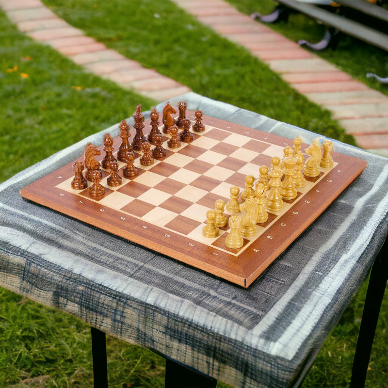 Professional Chess Set (Wooden)My Chess Sets